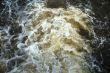The stream.