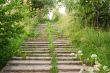 Old staircase.
