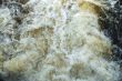 The rough stream.