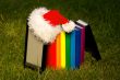 Electronic book reader with Santa`s hat
