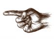 The hand