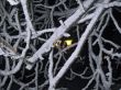 Yellow street lamp and the snowy branches