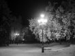 Lamp in the park. Winter landscape monochrome