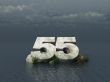 fifty five