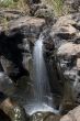 Agasthiyar falls