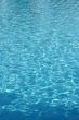 Pool water