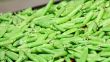 Green pea in market