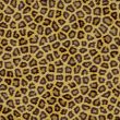 Leopard texture