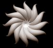 abstract flower