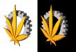 hemp industry