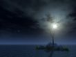 dead tree at night