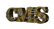 metal cms