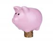 piggy bank