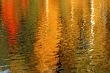 Autumn trees reflected in the water is beautiful