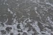Sea waves