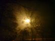 Autumn evening and street lamps