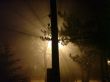 Autumn evening and street lamps