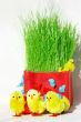 easter chickens 