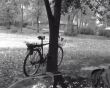 Bicycle in the rain