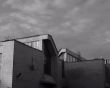 The roof of the matematiko-mechanical faculty 