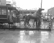 Horses on glidepath.