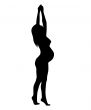 The Silhouette of the pregnant woman.