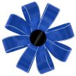 blue bow