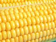 Yellow corn