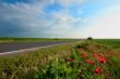 empty road near the poppies