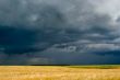 Storm dark clouds over field