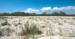 wild and empty beach