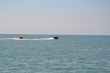 sea attraction