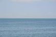 Sea reflection