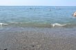 sea waves