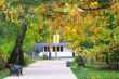 autumn in a holiday park