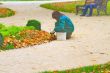girl gardener at work