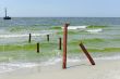 Remains of the old pier