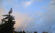 Rainbow rising after rain
