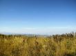 Caucasus landscape and autumn nature in daylight