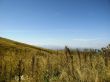 Caucasus landscape and autumn nature in daylight