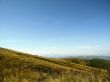 Caucasus landscape and autumn nature in daylight
