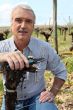 man in vineyards with shears