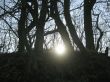 Autumn sun last shining