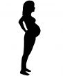 The Silhouette of the pregnant woman.