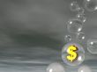 flying dollar