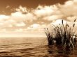 clouds