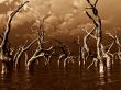 dead trees