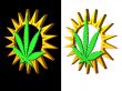 hemp sun