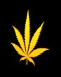 hemp symbol