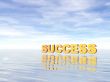 success